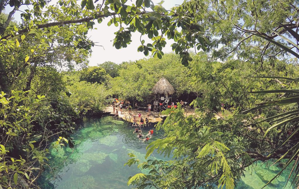 Cenote Cristalino. Cerca del complejo Barceló y la carretera 307