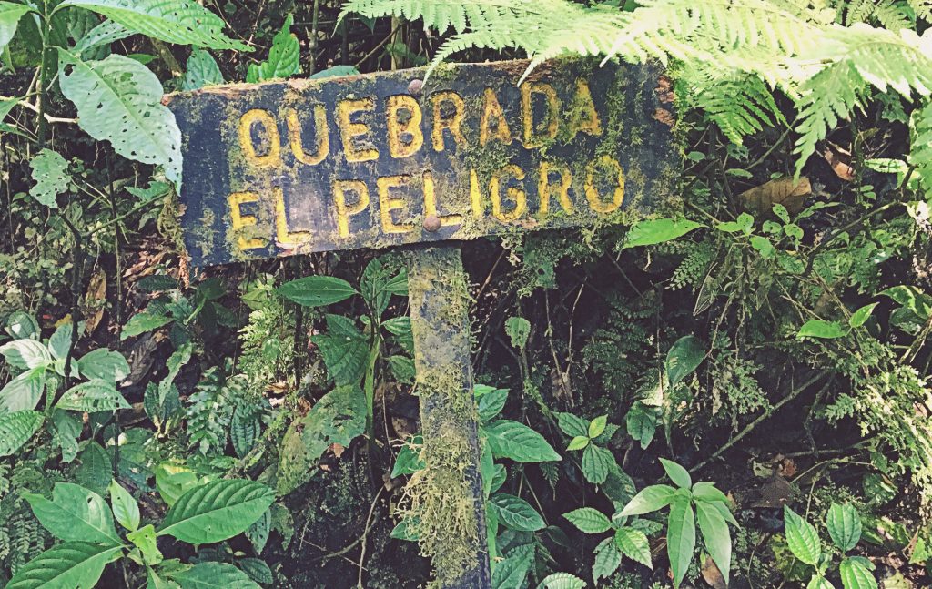Arroyo en sendero Caño Negro. Reserva de Bosque Nuboso Santa Elena. Costa Rica