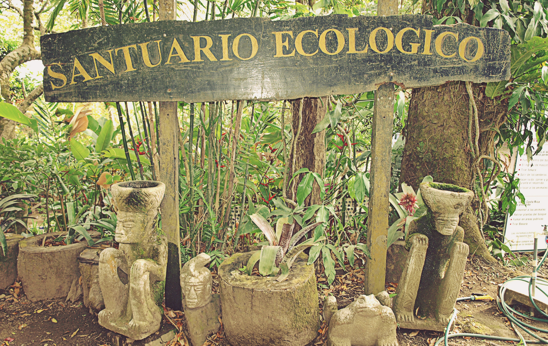 Santuario Ecológico. Monteverde, Costa Rica
