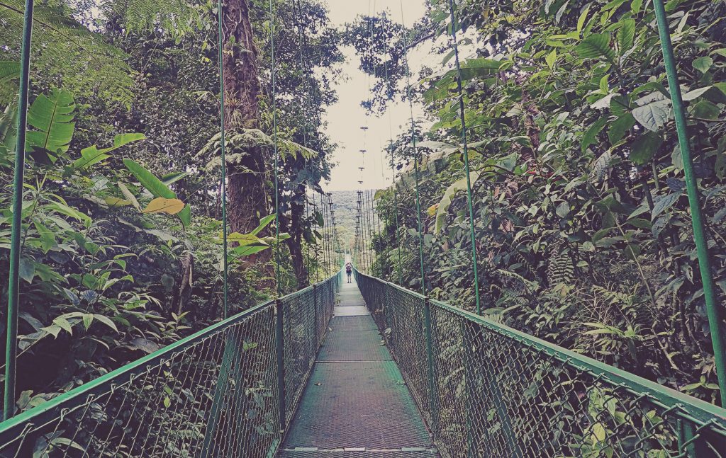Puentes Colgantes en Selvatura Park. Monteverde, Costa Rica.