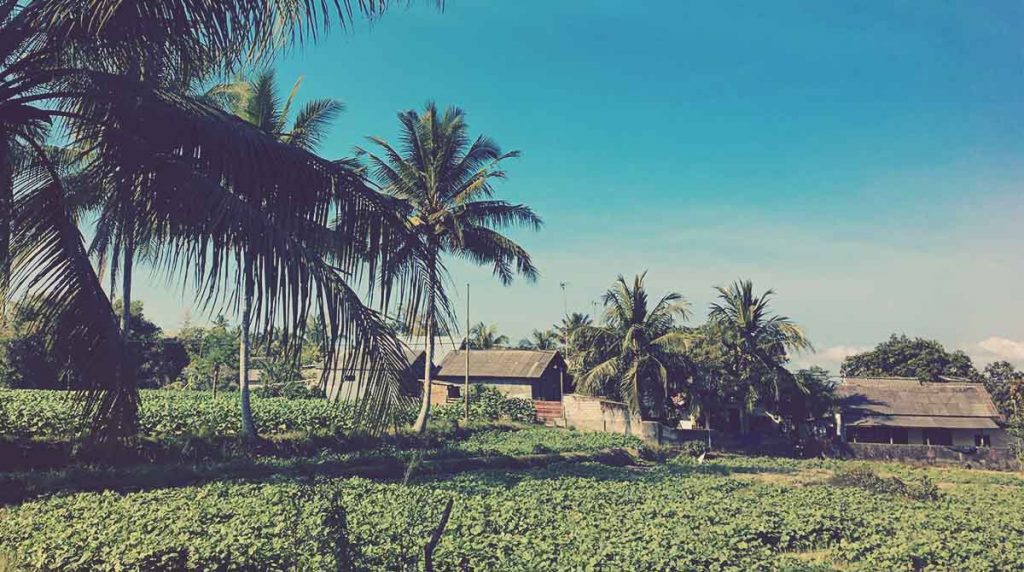 Zona rural de Lombok