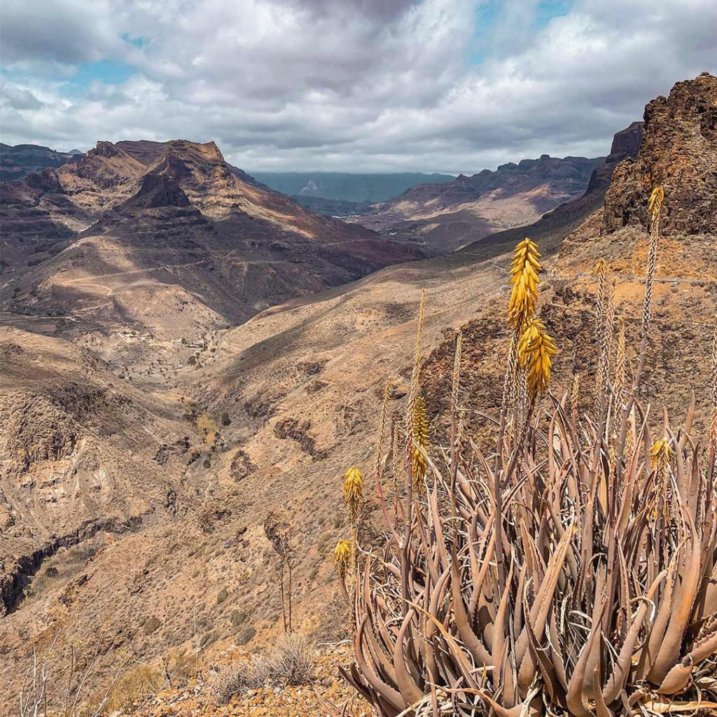 Miradores en el sur y sureste de Gran Canaria - Degollada de las Yeguas