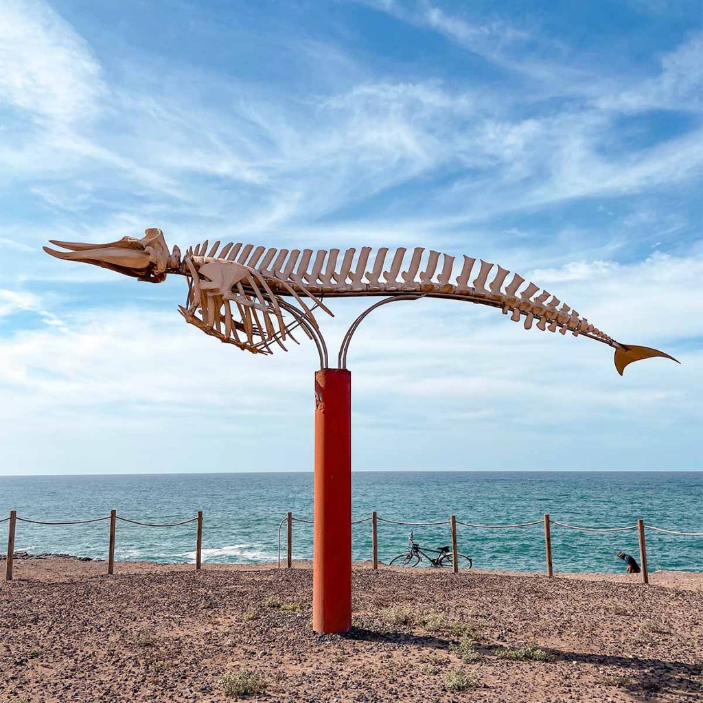 Senda de los Cetáceos, El Cotillo, Fuerteventura