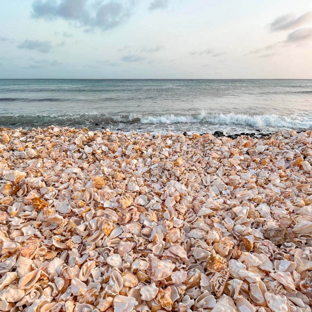 Qué ver en Santa Maria: Playa de las Conchas